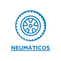 neumaticos-ID00